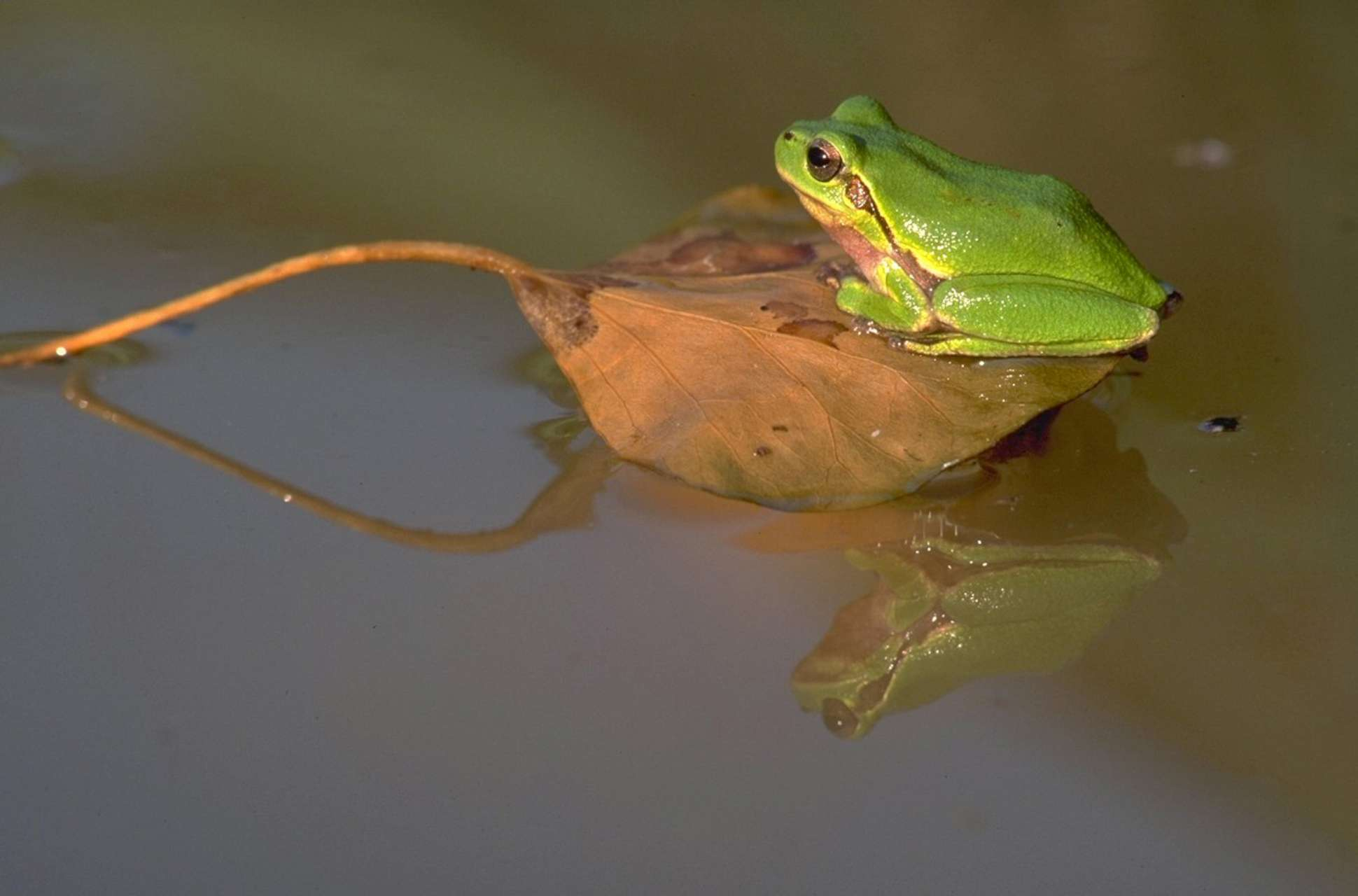 foto Marco Zuffi